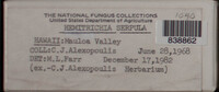 Image Associated With the Occurence